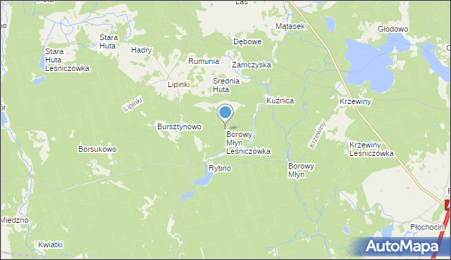 mapa Borowy Młyn Leśniczówka, Borowy Młyn Leśniczówka na mapie Targeo